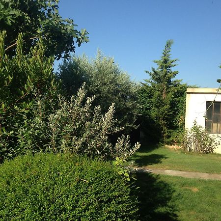 B&B - Le Vieux Figuier Vacqueyras Zewnętrze zdjęcie