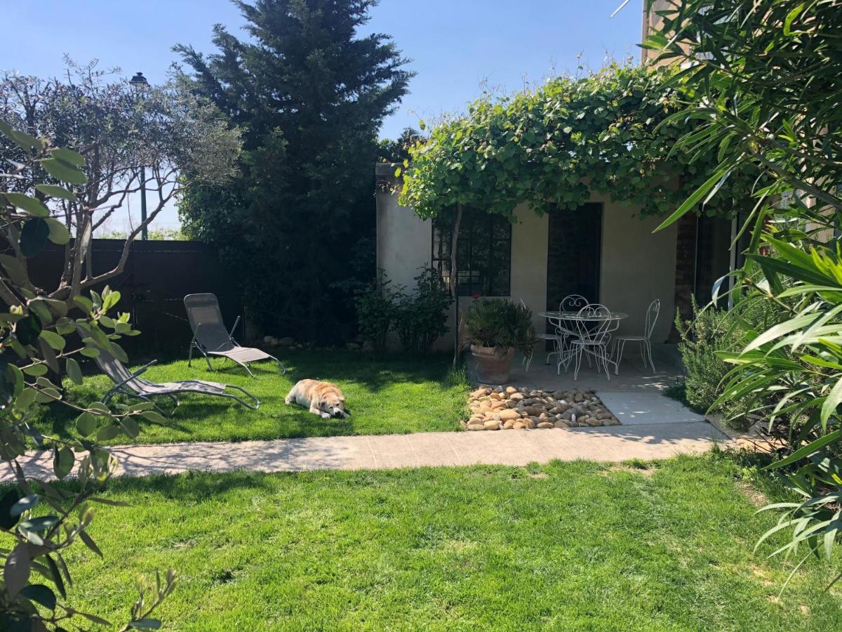 B&B - Le Vieux Figuier Vacqueyras Zewnętrze zdjęcie