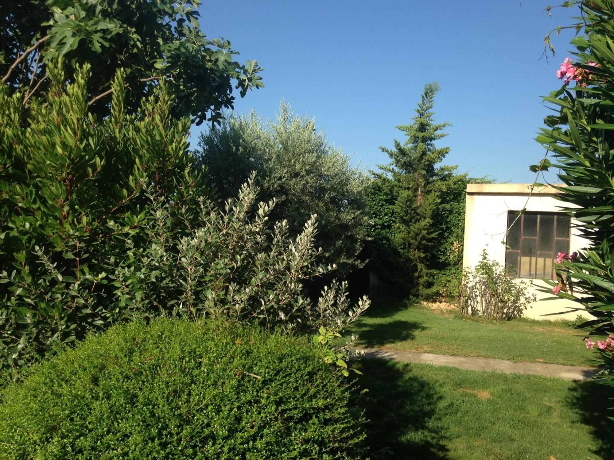 B&B - Le Vieux Figuier Vacqueyras Zewnętrze zdjęcie