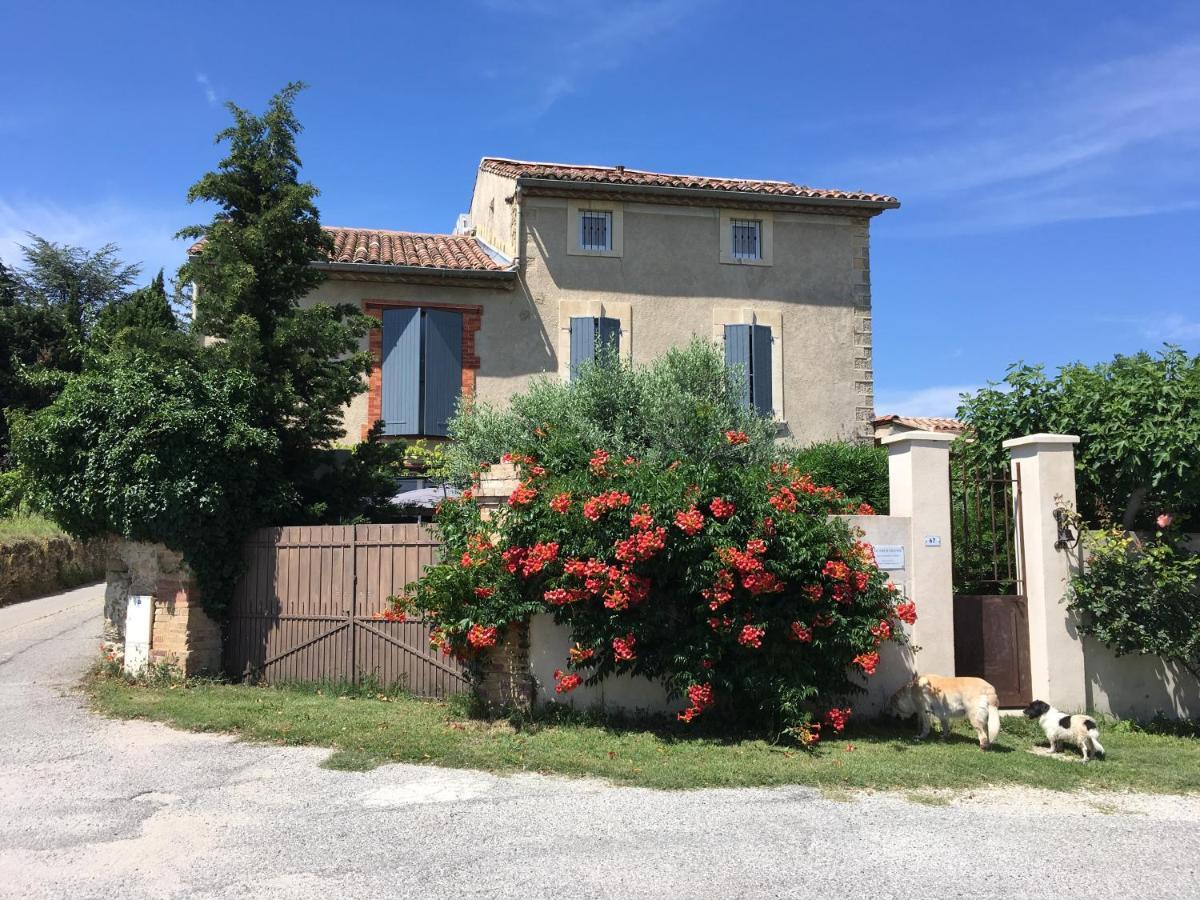 B&B - Le Vieux Figuier Vacqueyras Zewnętrze zdjęcie