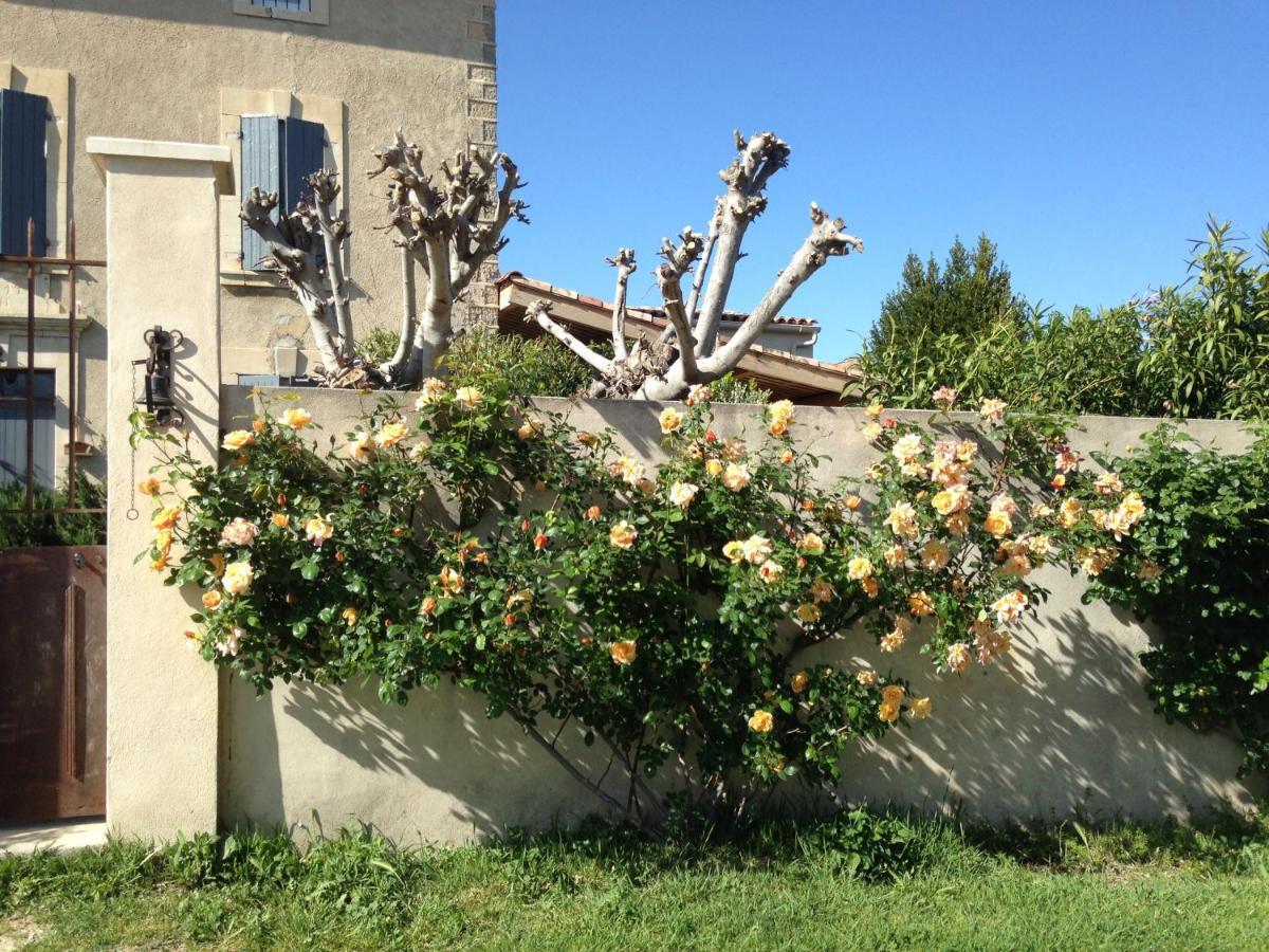 B&B - Le Vieux Figuier Vacqueyras Zewnętrze zdjęcie